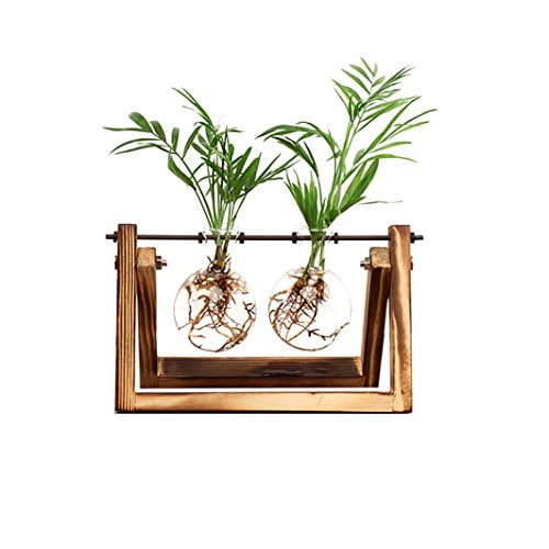 Ivolador 2PCS Cylinder Hanging Glass Flower Plants Vase Terrarium Container for Hydroponic Plants Home Garden Décor Ivolador 2PCS Cylinder Hanging Glass Flower Plants Vase Terrarium Container for Hydroponic Plants Home Garden Décor